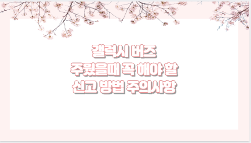 갤럭시 버즈 주웠을때 꼭 해야 할 신고 방법 주의사항