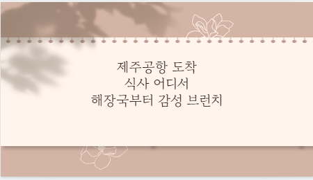 제주공항 도착 식사 어디서 해장국부터 감성 브런치