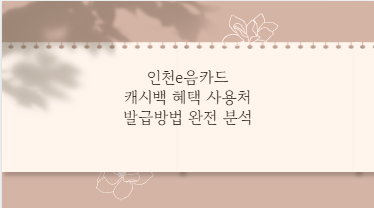 인천e음카드 캐시백 혜택 사용처 발급방법 완전 분석