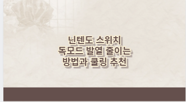 닌텐도 스위치 독모드 발열 줄이는 방법과 쿨링 추천