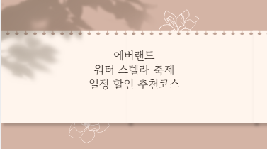 에버랜드 워터 스텔라 축제 일정 할인 추천코스