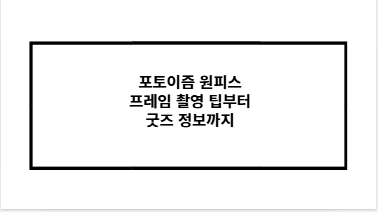 포토이즘 원피스 프레임 촬영 팁부터 굿즈 정보까지