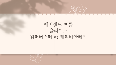 에버랜드 여름 슬라이드 워터버스터 vs 캐리비안베이