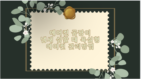 에어컨 곰팡이 냄새 심할 때 욕실형 에어컨 관리방법