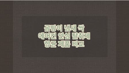곰팡이 냄새 싹 에어컨 안심 탈취제 항균 제품 비교