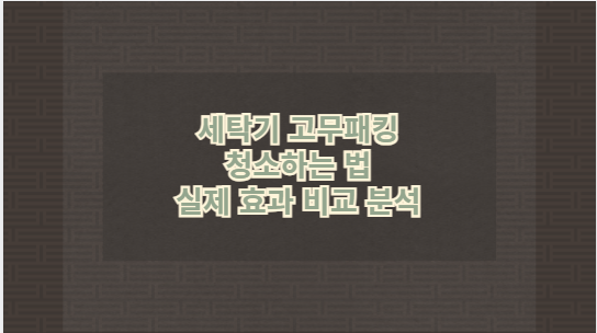 세탁기 고무패킹 청소하는 법 실제 효과 비교 분석