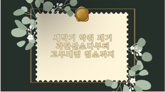 세탁기 악취 제거 과탄산소다부터 고무패킹 청소까지