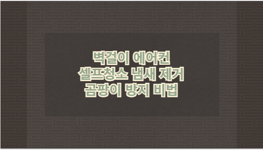 벽걸이 에어컨 셀프청소 냄새 제거 곰팡이 방지 비법