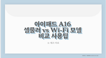 아이패드 A16 셀룰러 vs Wi-Fi 모델 비교 사용팁