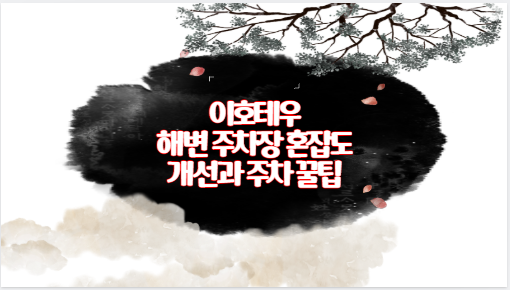 이호테우 해변 주차장 혼잡도 개선과 주차 꿀팁