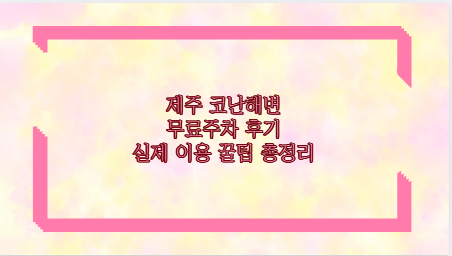제주 코난해변 무료주차 후기 실제 이용 꿀팁 총정리