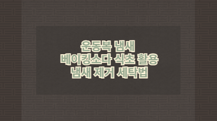 운동복 냄새 베이킹소다 식초 활용 냄새 제거 세탁법
