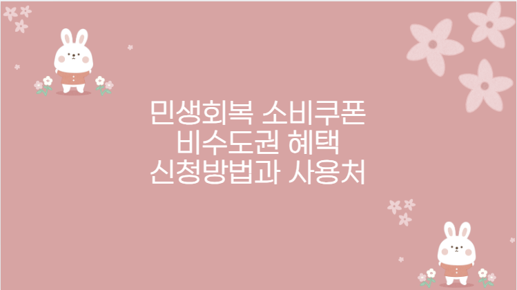 민생회복 소비쿠폰 비수도권 혜택 신청방법과 사용처