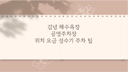 김녕 해수욕장 공영주차장 위치 요금 성수기 주차 팁