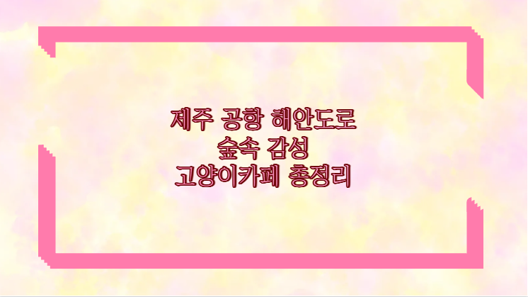 제주 공항 해안도로 숲속 감성 고양이카페 총정리