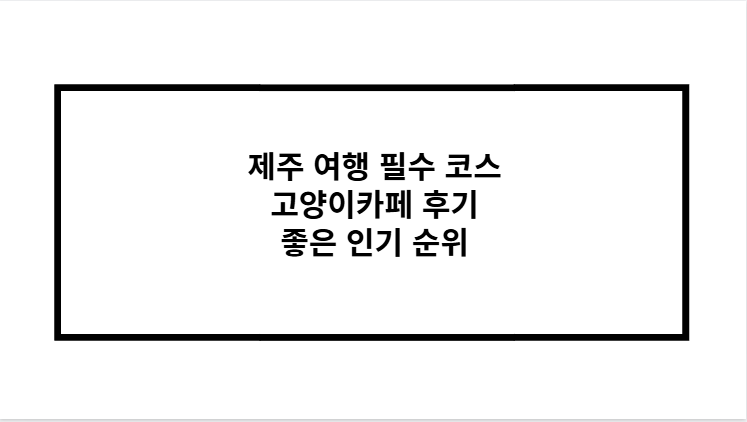 제주 여행 필수 코스 고양이카페 후기 좋은 인기 순위