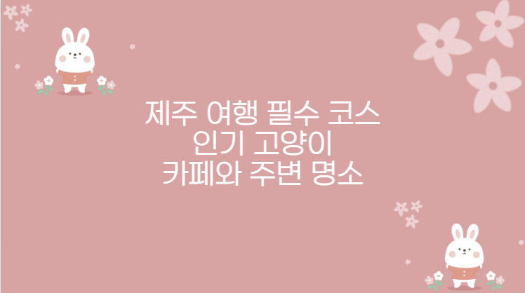 제주 여행 필수 코스 인기 고양이 카페와 주변 명소