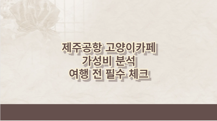 제주공항 고양이카페 가성비 분석 여행 전 필수 체크