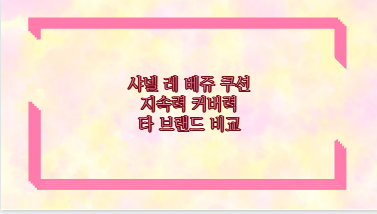 샤넬 레 베쥬 쿠션 지속력 커버력 타 브랜드 비교