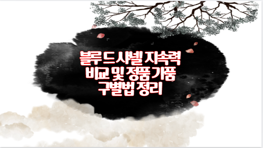 블루 드 샤넬 지속력 비교 및 정품 가품 구별법 정리