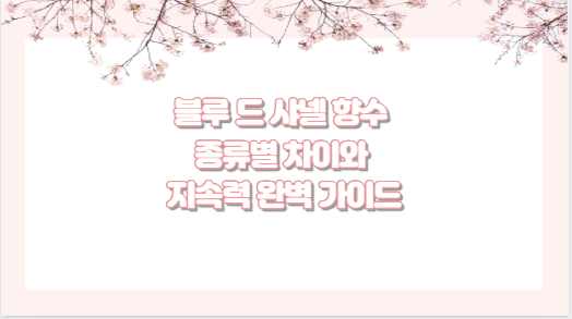 블루 드 샤넬 향수 종류별 차이와 지속력 완벽 가이드