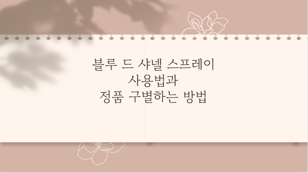 블루 드 샤넬 스프레이 사용법과 정품 구별하는 방법