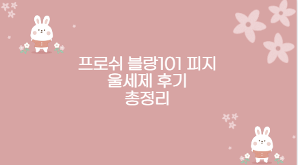 프로쉬 블랑101 피지 울세제 후기 총정리