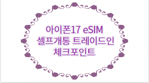 아이폰17 eSIM 셀프개통 트레이드인 체크포인트