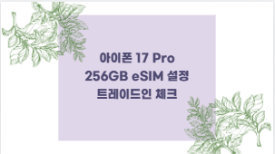아이폰 17 Pro 256GB eSIM 설정 트레이드인 체크