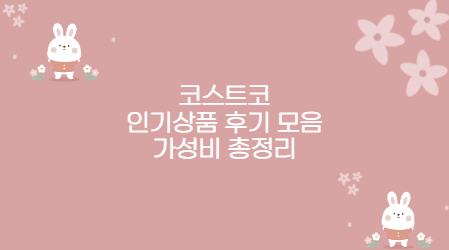 코스트코 인기상품 후기 모음 가성비 총정리