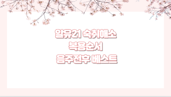 알유21 숙취해소 복용순서 음주전후 베스트