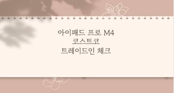 아이패드 프로 M4 코스트코 트레이드인 체크