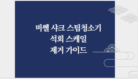 비쎌 샤크 스팀청소기 석회 스케일 제거 가이드
