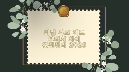 비쎌 샤크 헤드 브러시 차이 완전정리 2025