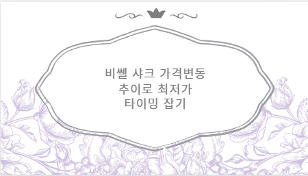 비쎌 샤크 가격변동 추이로 최저가 타이밍 잡기