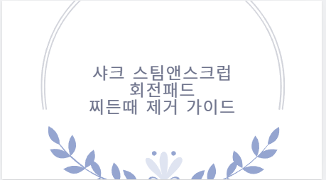 샤크 스팀앤스크럽 회전패드 찌든때 제거 가이드