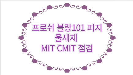 프로쉬 블랑101 피지 울세제 MIT CMIT 점검