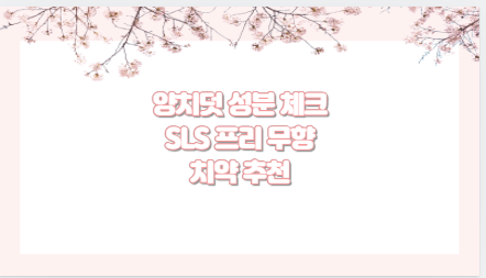 양치덧 성분 체크 SLS 프리 무향 치약 추천