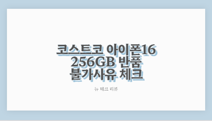 코스트코 아이폰16 256GB 반품 불가사유 체크