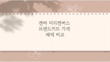 캔바 미리캔버스 브랜드키트 가격 혜택 비교