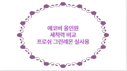 에코버 올인원 세척력 비교 프로쉬 그린레몬 실사용