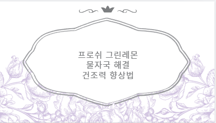 프로쉬 그린레몬 물자국 해결 건조력 향상법