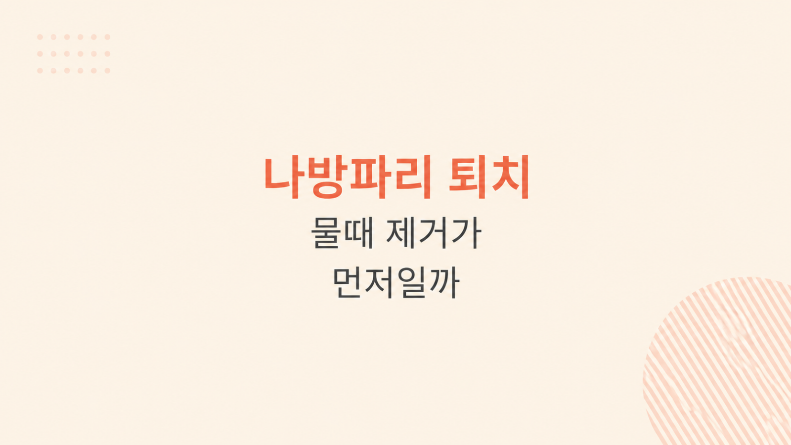 나방파리 퇴치 배수구 청소 장면