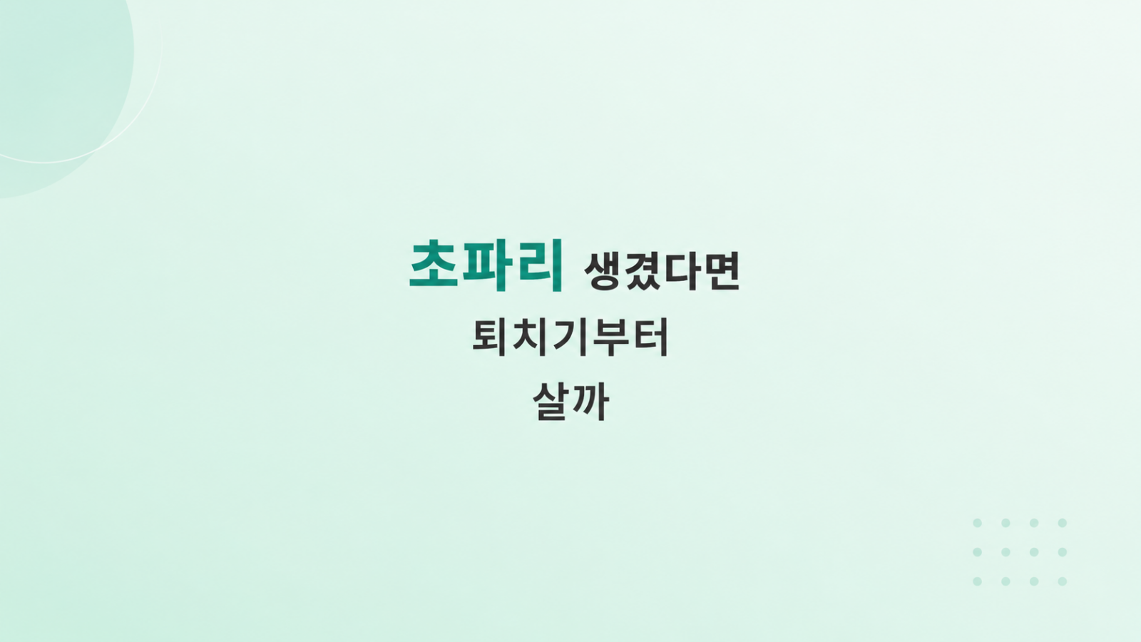 초파리 생겼다면 비용 조건 비교 설명